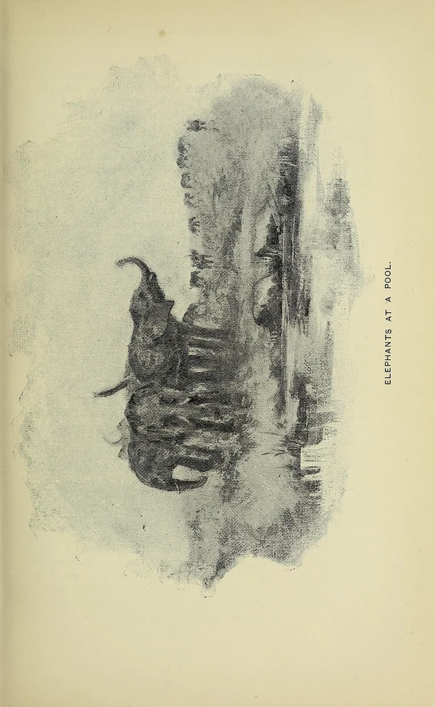 An illustration from Seventeen trips through Somaliland and a visit to Abyssinia : with supplementary preface on the 'Mad Mullah' risings, 1903, leaf 91