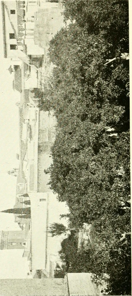 An illustration from Seville; an historical and descriptive account of "the pearl of Andalusia,", 1907, leaf 191