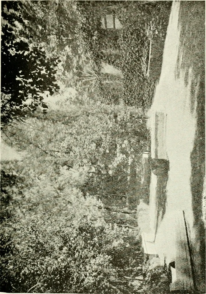 An illustration from Seville; an historical and descriptive account of "the pearl of Andalusia,", 1907, leaf 226