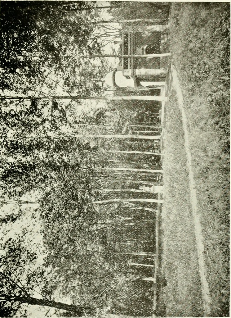 An illustration from Seville; an historical and descriptive account of "the pearl of Andalusia,", 1907, leaf 228