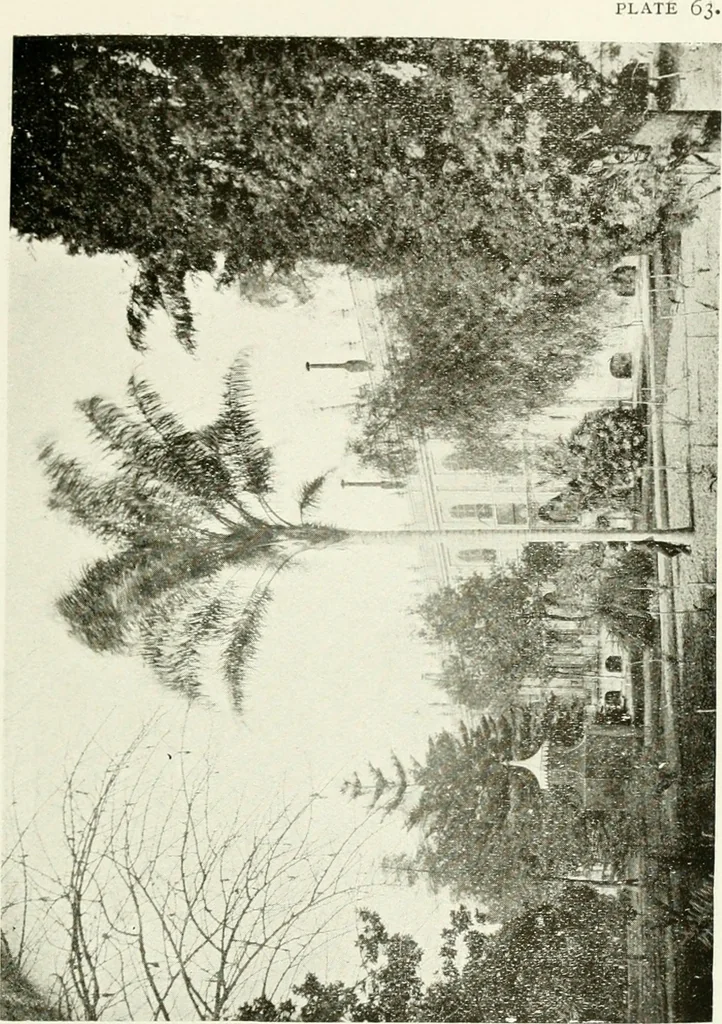 An illustration from Seville; an historical and descriptive account of "the pearl of Andalusia,", 1907, leaf 230