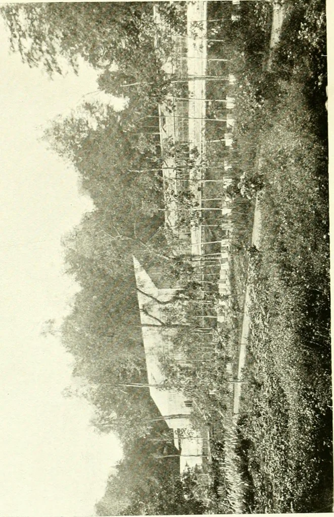 An illustration from Seville; an historical and descriptive account of "the pearl of Andalusia,", 1907, leaf 273