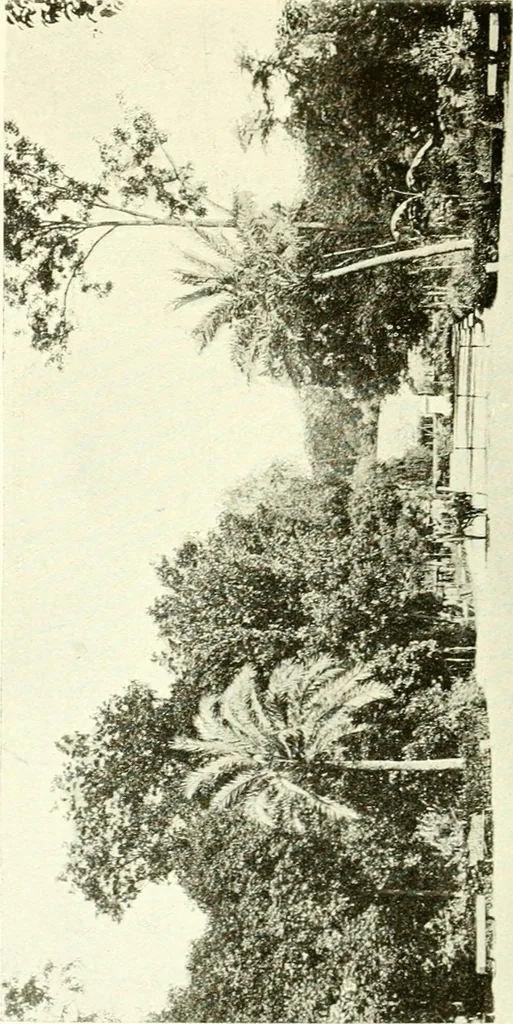 An illustration from Seville; an historical and descriptive account of "the pearl of Andalusia,", 1907, leaf 459