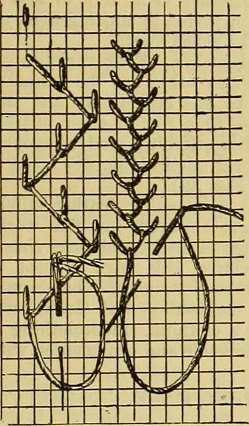 An illustration from A sewing course, comprising directions for making the various stitches and instruction in methods of teaching, 1908, leaf 104