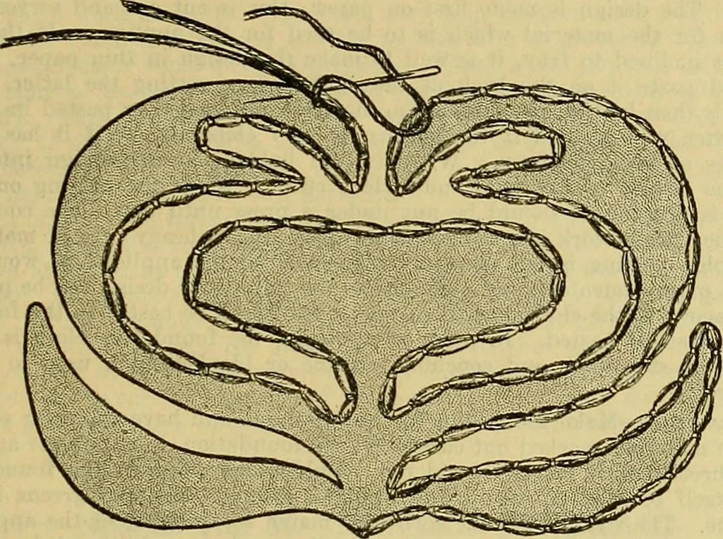 An illustration from A sewing course, comprising directions for making the various stitches and instruction in methods of teaching, 1908, leaf 120