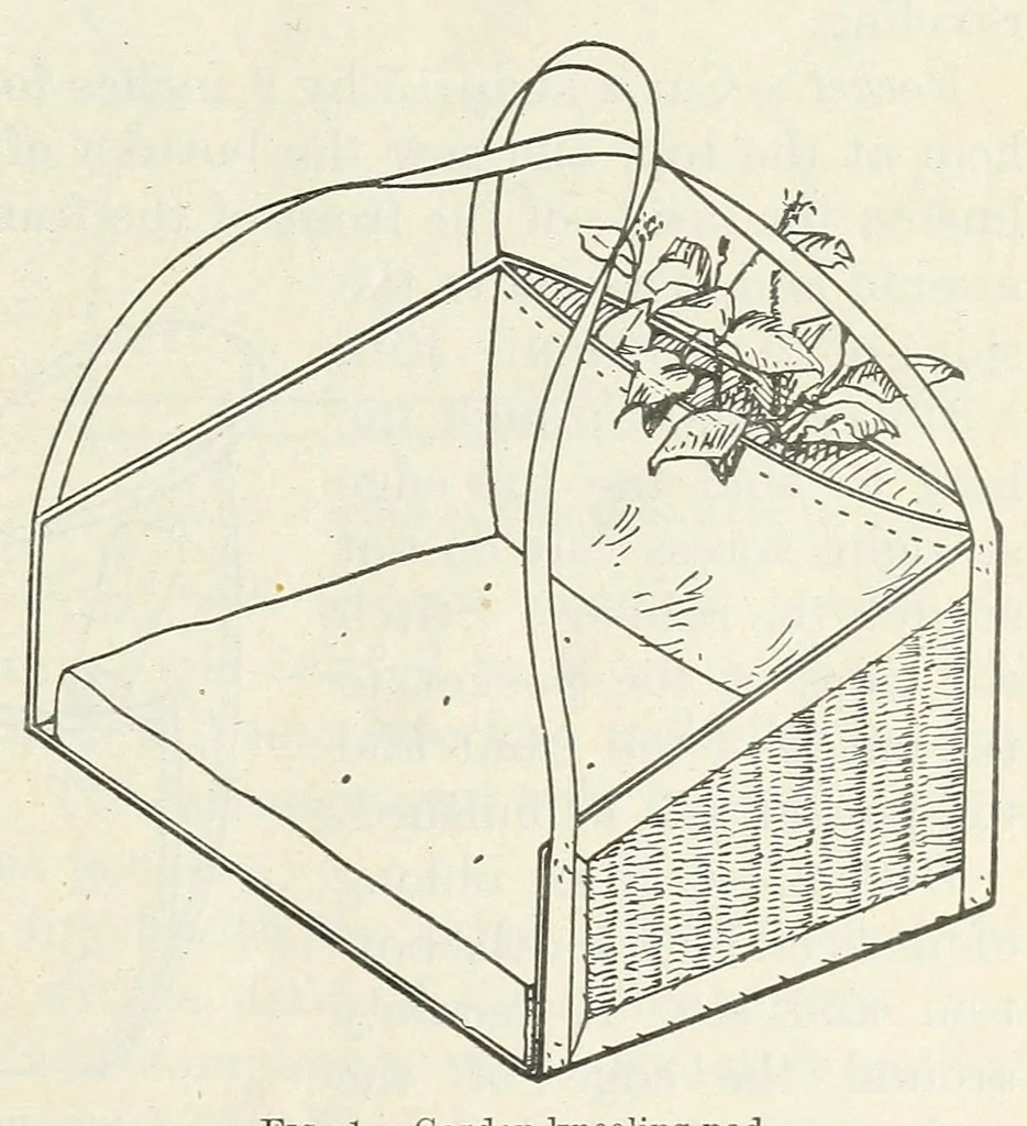 An illustration from Sewing for girls' club work, 1919, leaf 5