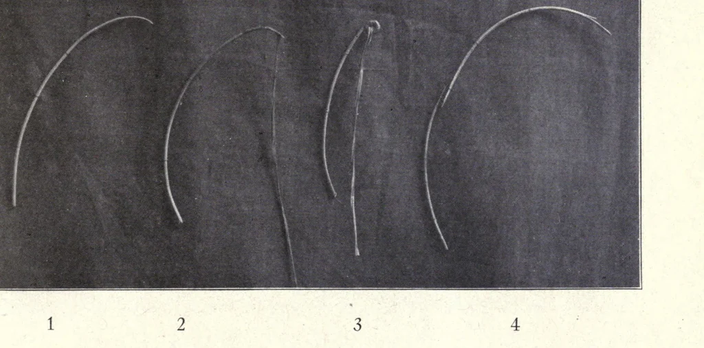 An illustration from Sewing; handicraft for girls; a graded course for city and rural schools, 1918, leaf 113