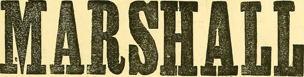 An illustration from Sewing machine gazette, 1874, leaf 100
