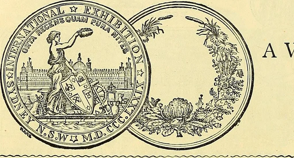 An illustration from Sewing machine gazette, 1874, leaf 157