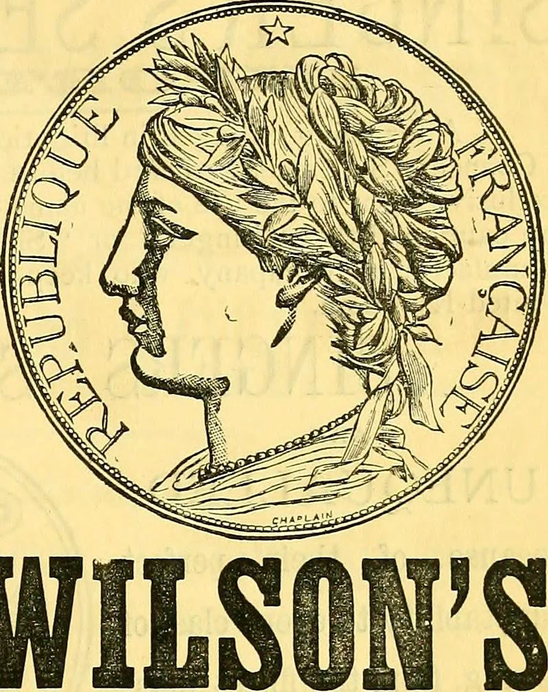 An illustration from Sewing machine gazette, 1874, leaf 16