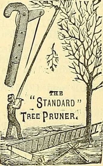 An illustration from Sewing machine gazette, 1874, leaf 167