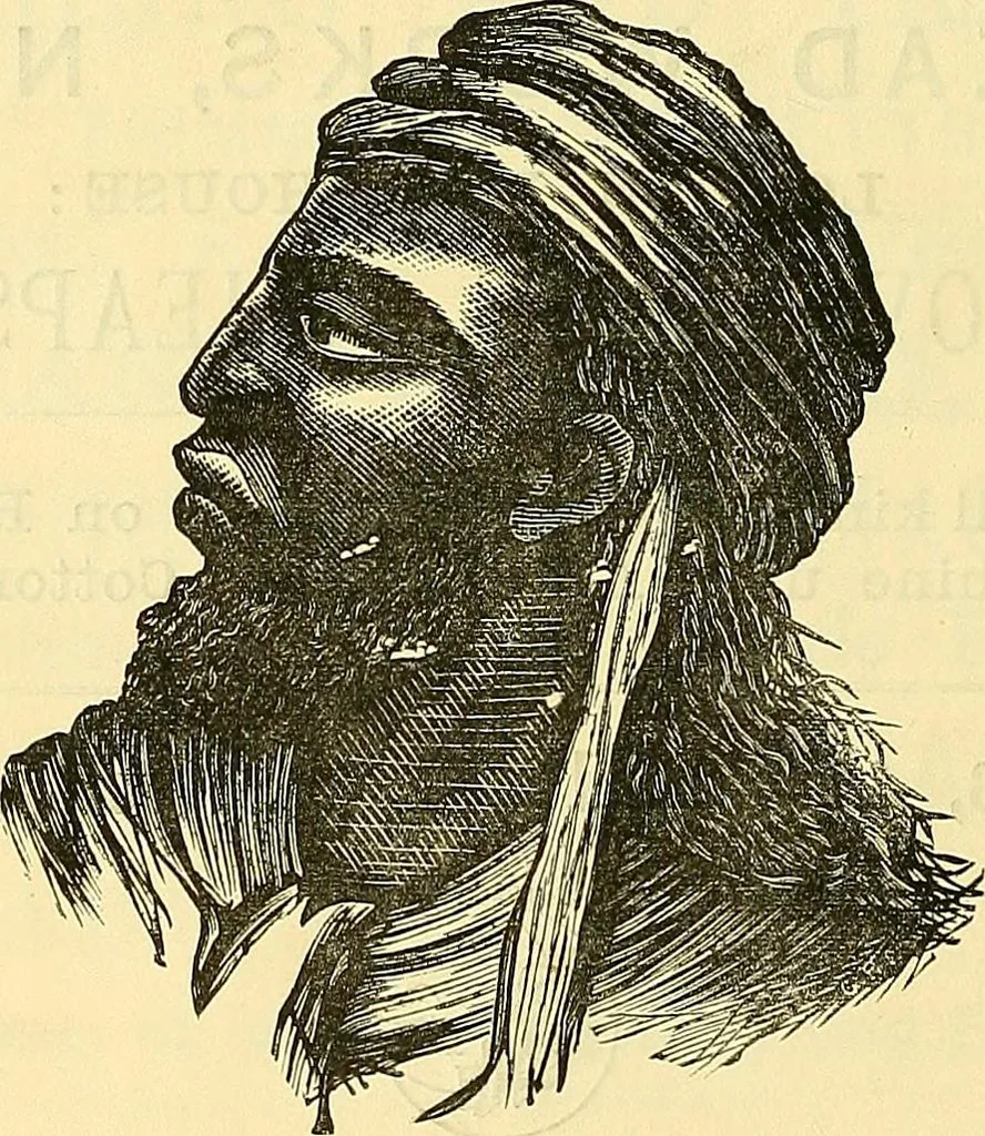 An illustration from Sewing machine gazette, 1874, leaf 231