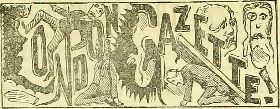 An illustration from Sewing machine gazette, 1874, leaf 304