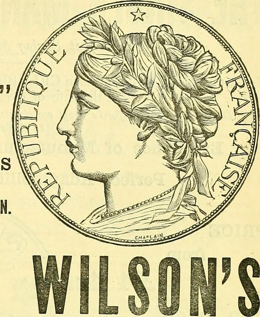 An illustration from Sewing machine gazette, 1874, leaf 406