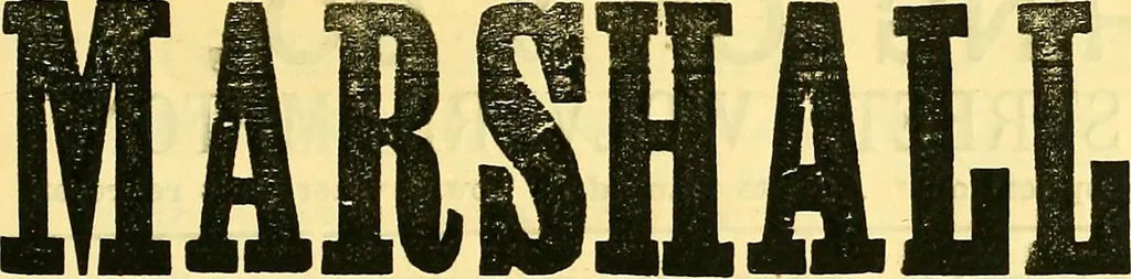 An illustration from Sewing machine gazette, 1874, leaf 44