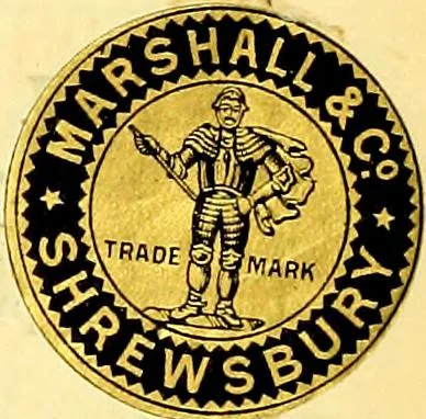 An illustration from Sewing machine gazette, 1874, leaf 44