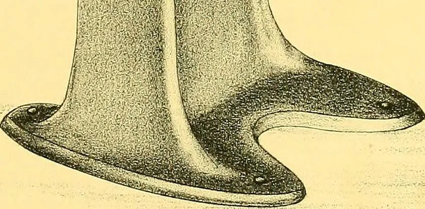 An illustration from Sewing machine gazette, 1874, leaf 444