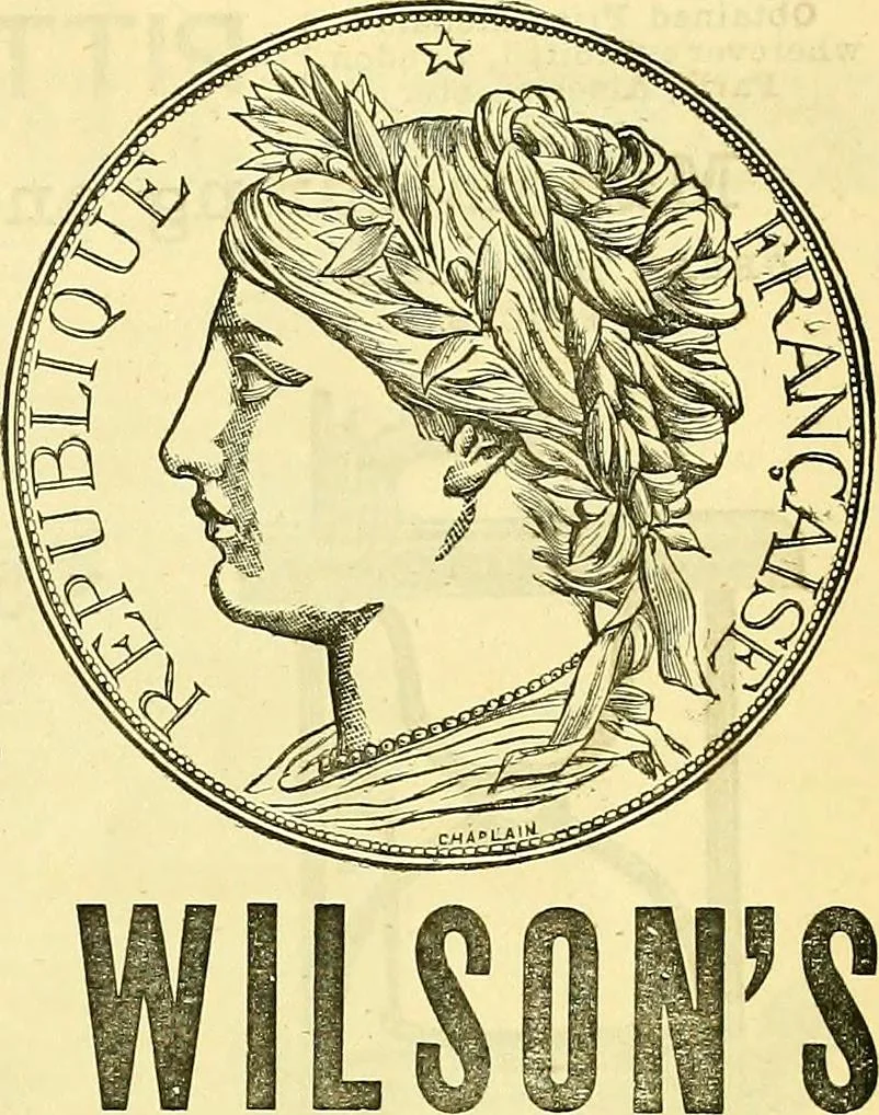 An illustration from Sewing machine gazette, 1874, leaf 490