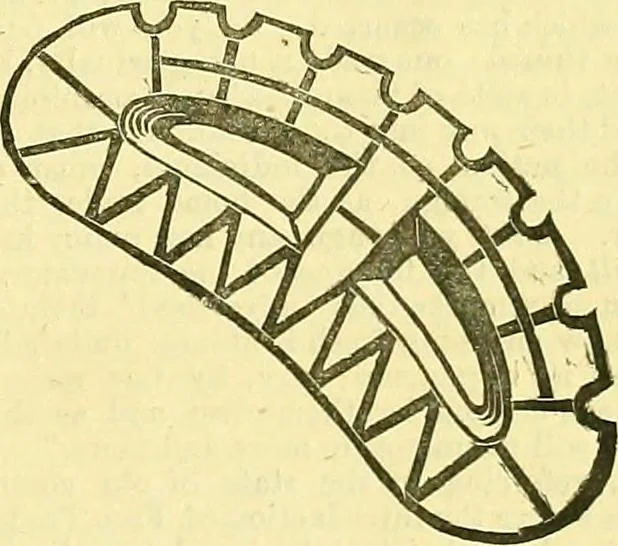 An illustration from Sewing machine gazette, 1874, leaf 510