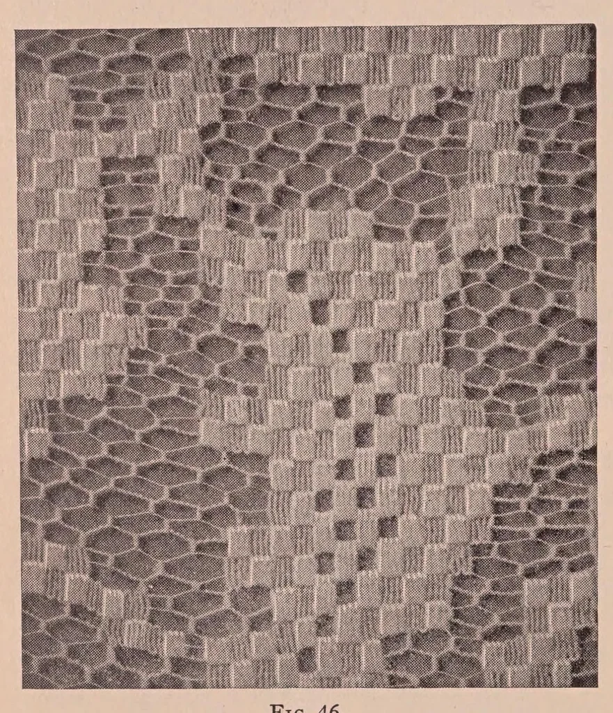 An illustration from Sewing materials:Development of textiles. Cottons, linens, wools, silks, laces., 1923, leaf 132