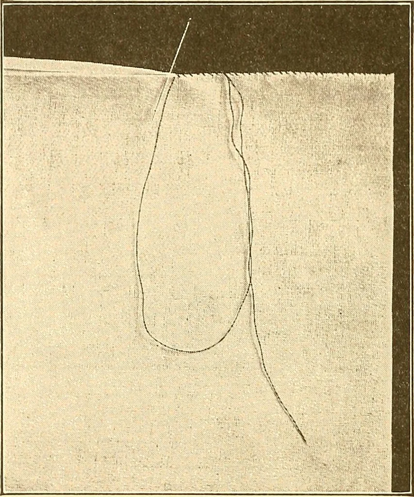 An illustration from Sewing and textiles;, 1921, leaf 103