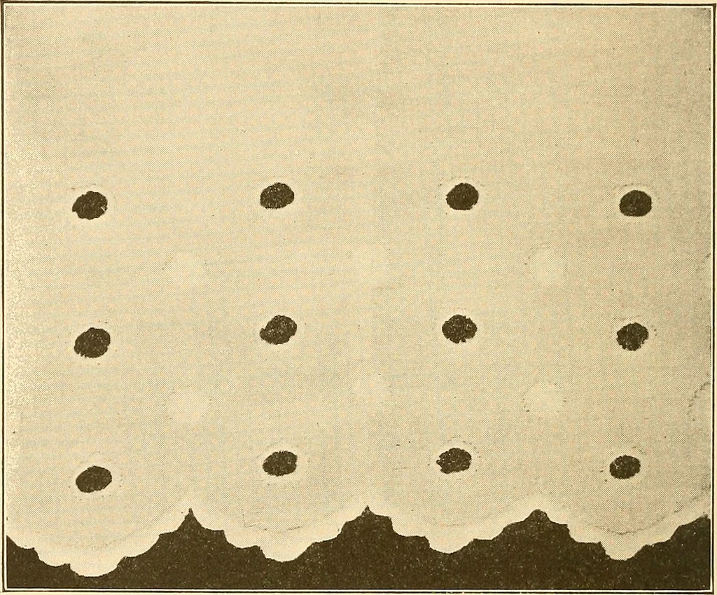 An illustration from Sewing and textiles;, 1921, leaf 121