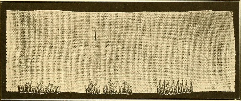 An illustration from Sewing and textiles;, 1921, leaf 158