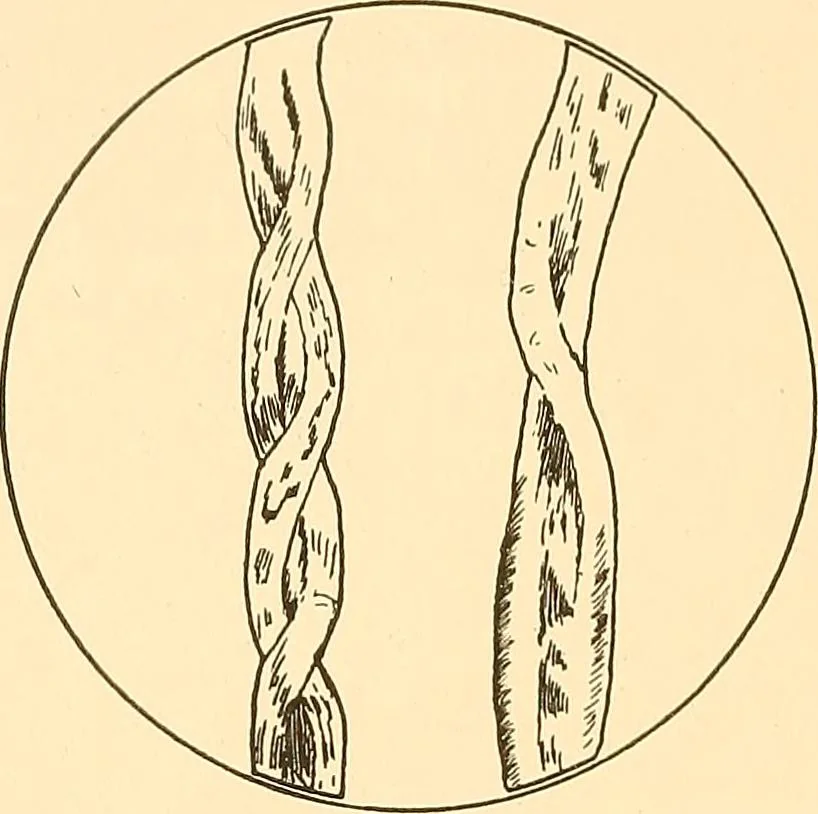 An illustration from Sewing and textiles;, 1921, leaf 161