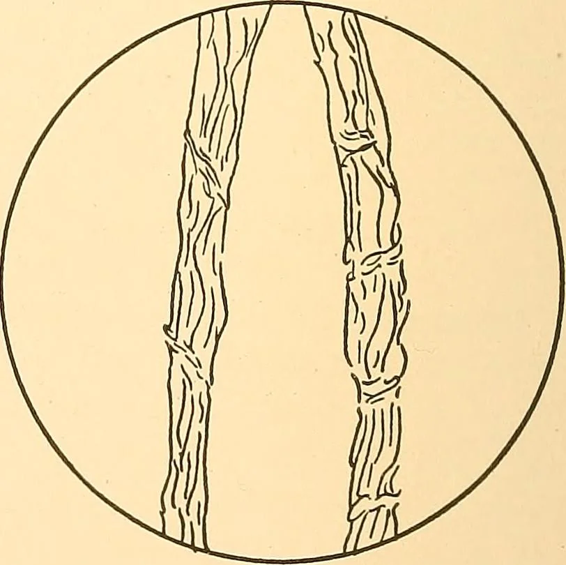 An illustration from Sewing and textiles;, 1921, leaf 161