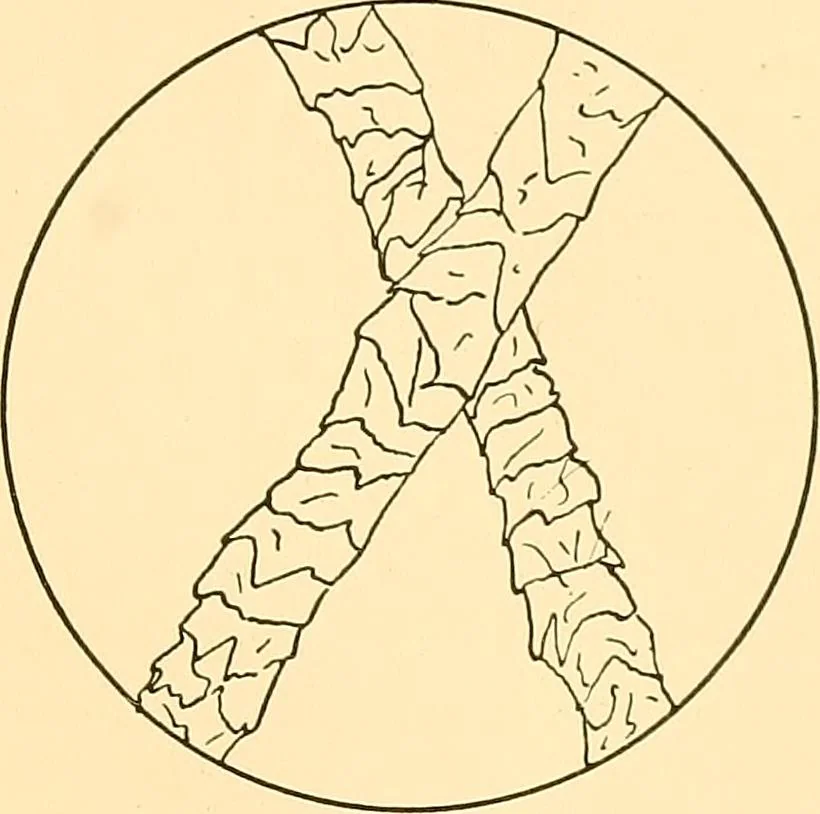 An illustration from Sewing and textiles;, 1921, leaf 162