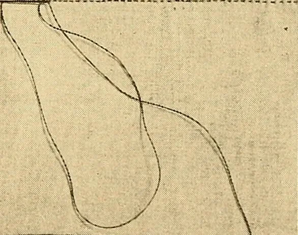 An illustration from Sewing and textiles;, 1921, leaf 30