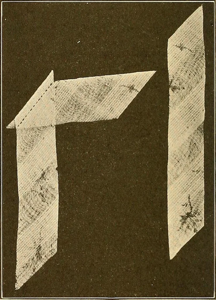 An illustration from Sewing and textiles;, 1921, leaf 79