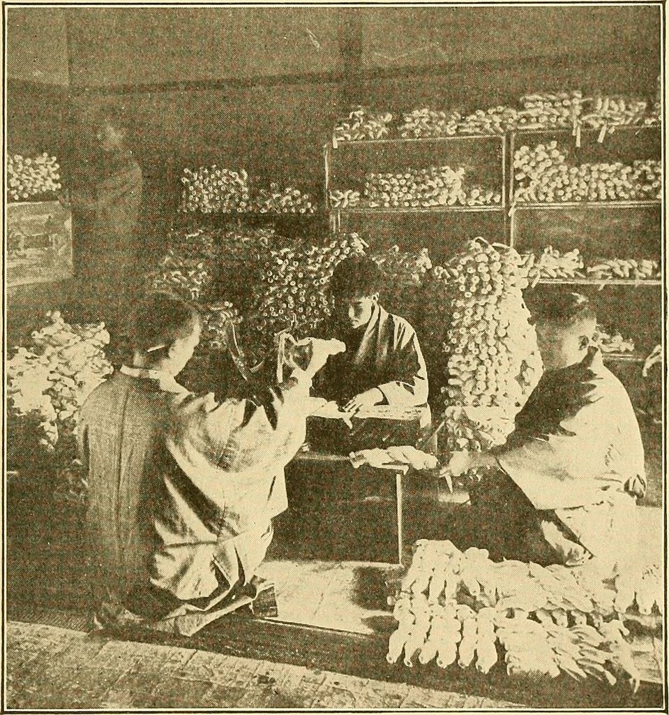 An illustration from Sewing and textiles;, 1921, leaf 84