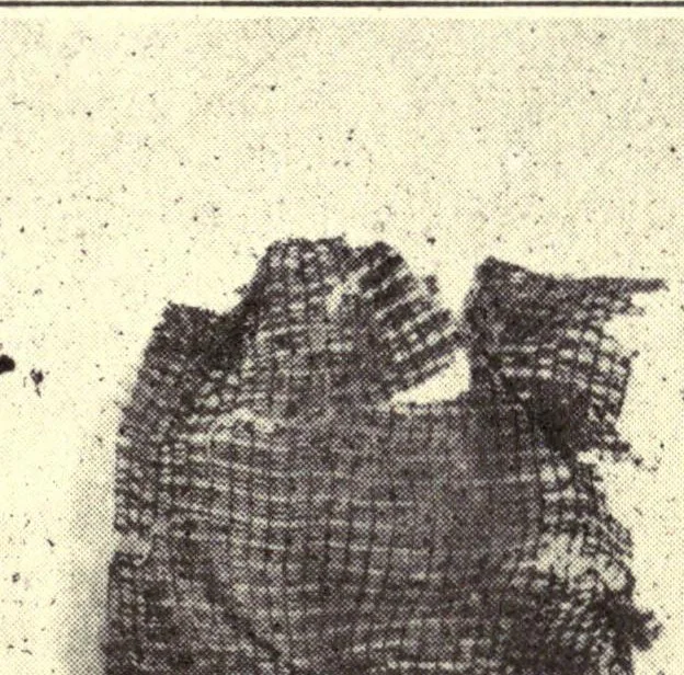 An illustration from Sewing and textiles; a textbook for grades and rural schools, 1918, leaf 169
