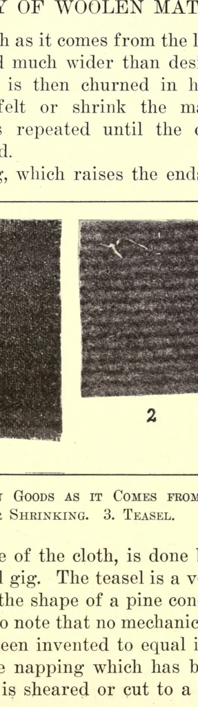 An illustration from Sewing and textiles; a textbook for grades and rural schools, 1918, leaf 79