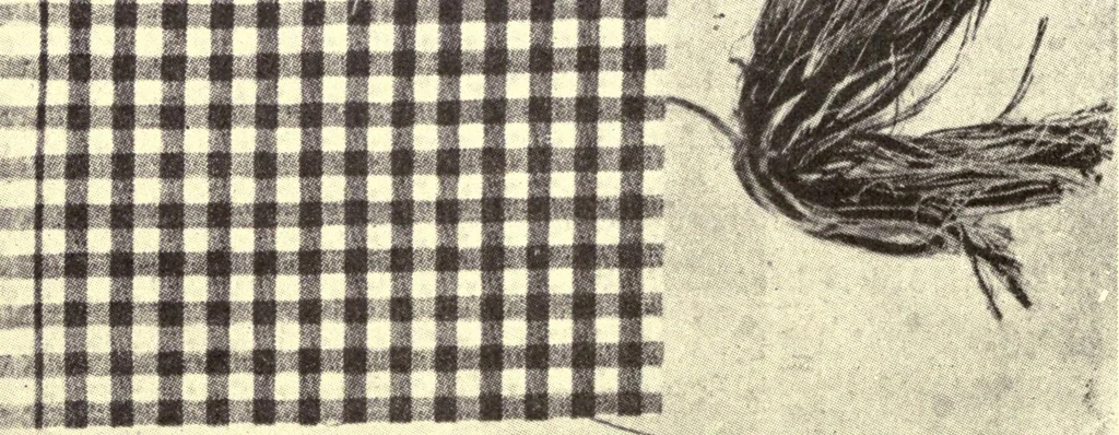 An illustration from Sewing and textiles; a textbook for grades and rural schools, 1918, leaf 96