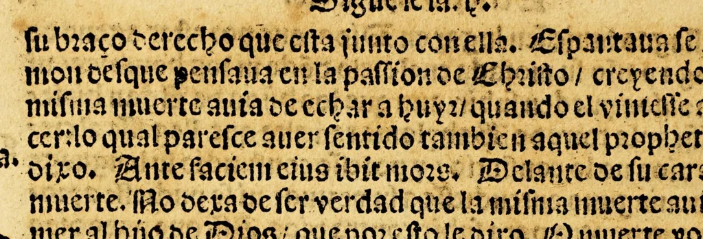 An illustration from Sexta parte del Abecedario espiritual, 1554, leaf 116