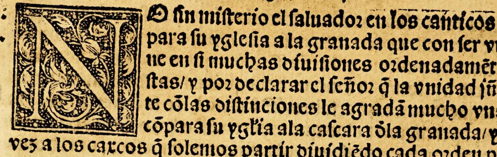 An illustration from Sexta parte del Abecedario espiritual, 1554, leaf 208