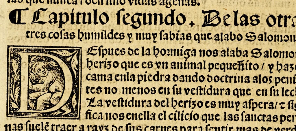 An illustration from Sexta parte del Abecedario espiritual, 1554, leaf 40