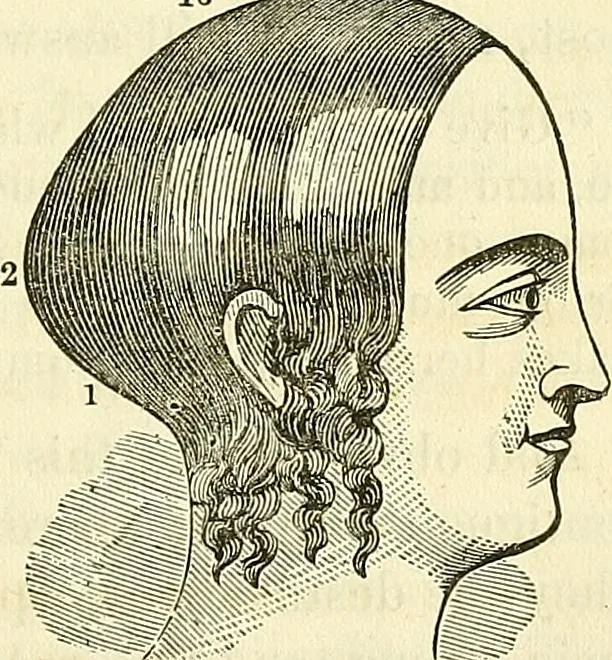 An illustration from Sexual science : including manhood, womanhood, and their mutual interrelations ; love, its laws, power etc. ... as taught by phrenolog, 1870, leaf 158