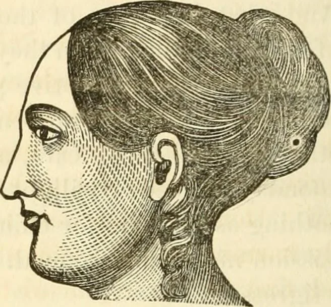An illustration from Sexual science : including manhood, womanhood, and their mutual interrelations ; love, its laws, power etc. ... as taught by phrenolog, 1870, leaf 159