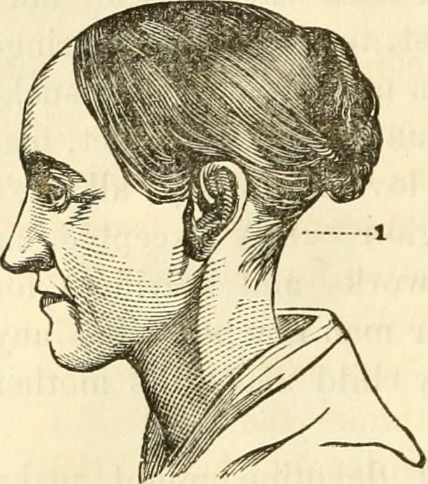 An illustration from Sexual science : including manhood, womanhood, and their mutual interrelations ; love, its laws, power etc. ... as taught by phrenolog, 1870, leaf 159