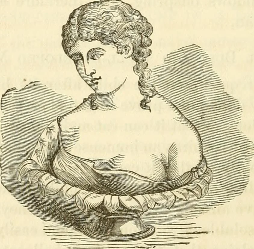 An illustration from Sexual science : including manhood, womanhood, and their mutual interrelations ; love, its laws, power etc. ... as taught by phrenolog, 1870, leaf 199