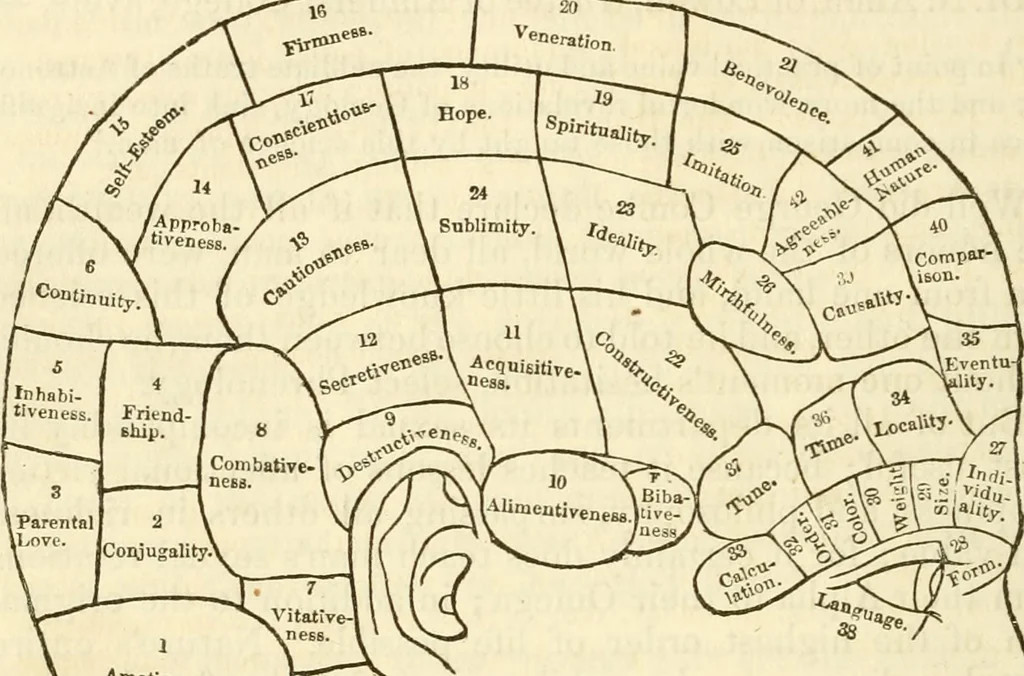 An illustration from Sexual science : including manhood, womanhood, and their mutual interrelations ; love, its laws, power etc. ... as taught by phrenolog, 1870, leaf 65