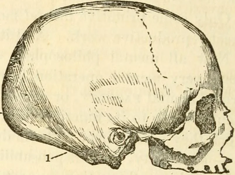 An illustration from Sexual science : including manhood, womanhood, and their mutual interrelations ; love, its laws, power etc. ... as taught by phrenolog, 1870, leaf 95