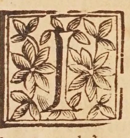 An illustration from Sfera astronomica, 1690, leaf 31