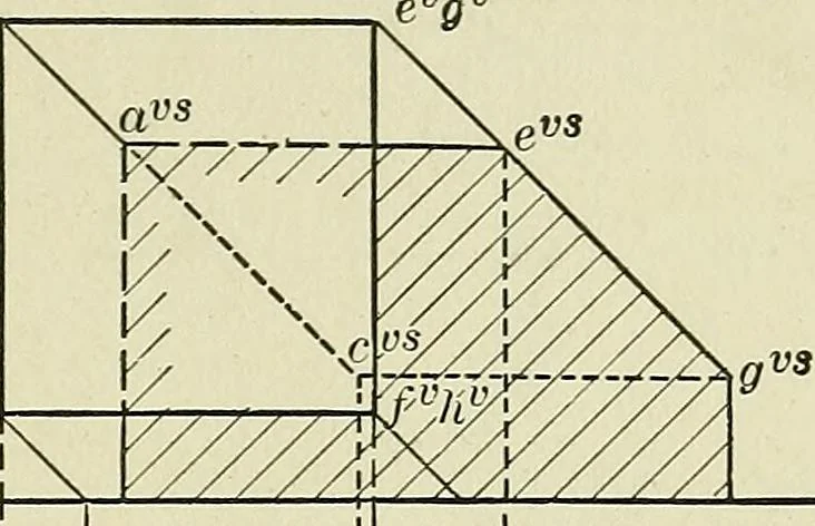 An illustration from Shades and shadows, 1921, leaf 102