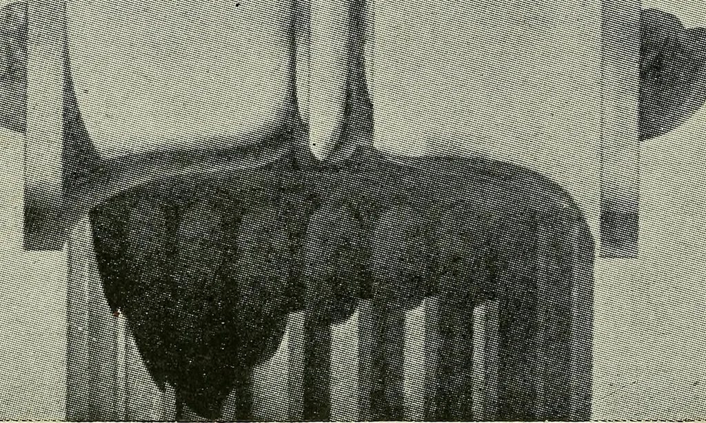 An illustration from Shades and shadows, 1921, leaf 105