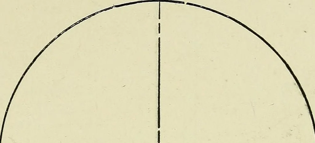 An illustration from Shades and shadows, 1921, leaf 136