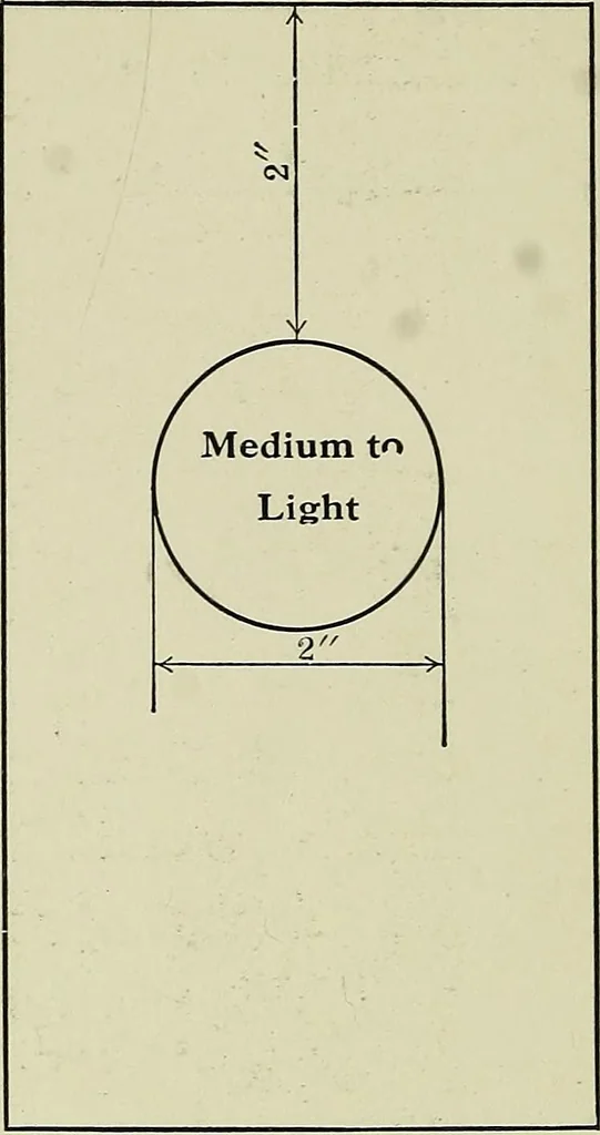 An illustration from Shades and shadows, 1921, leaf 139